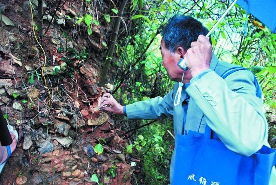 �ϰ����Է����δ�������Ҥַ(��ͼ)