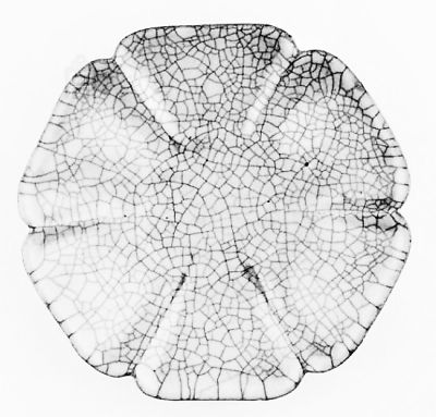 δҤڹʹܵһ£ʹԺ칫ͨý˵