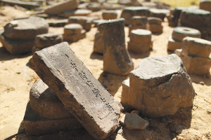 ����Ŀǰ�����ֹ�ģ��󡢱����������Ķ�������������ַ��