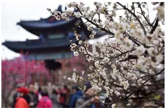 ���Ͼ��������˹��顢�������մ�